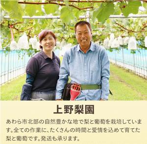 上野梨園2