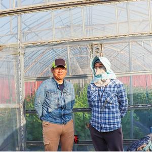 堂下園芸1