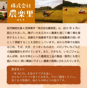 農楽里3