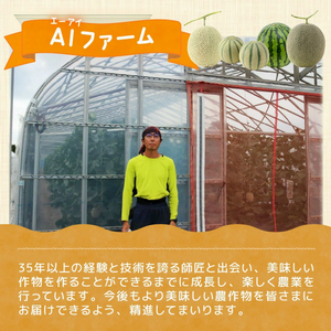 ＡＩファーム1