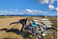 角谷玉ねぎ掘り(2)