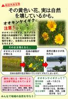 チラシ1