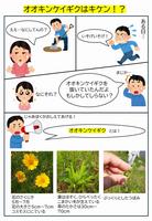 チラシ3