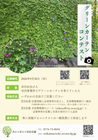 ちらし