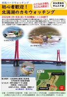 バードウォッチングちらし