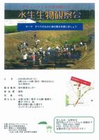 水生生物観察会ちらし