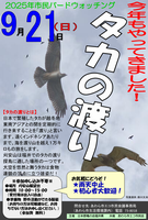 バードウォッチングちらし