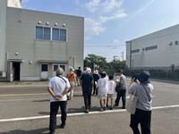活動写真