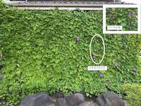 個人の部最優秀賞