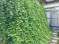 個人の部優秀賞