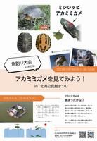 アカミミチラシ