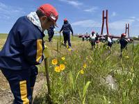 除去作業