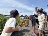 生きもの確認